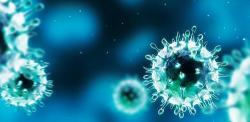 Herpes Information - Herpes & Coldsores Support Network